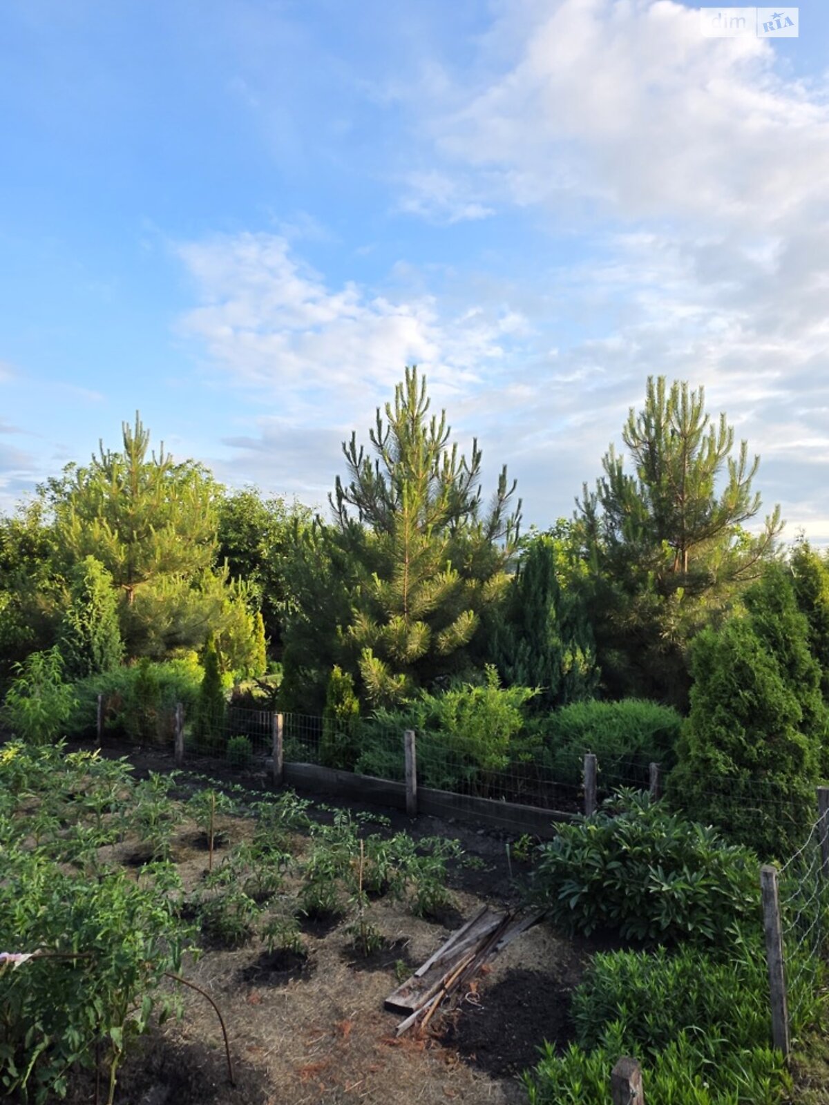 двоповерховий будинок з верандою, 181.6 кв. м, цегла. Продаж у Рогані фото 1