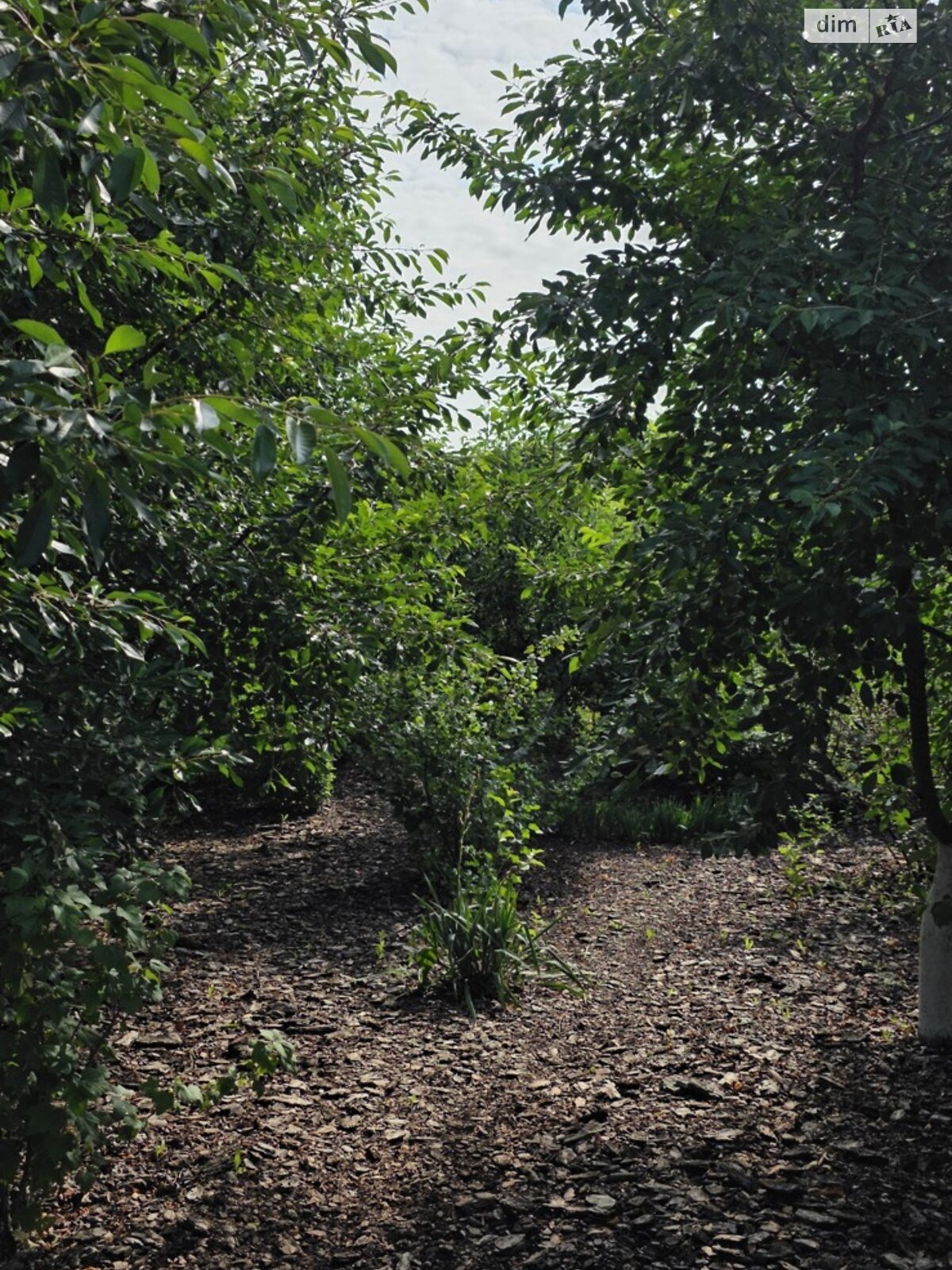 двоповерховий будинок з верандою, 181.6 кв. м, цегла. Продаж у Рогані фото 1