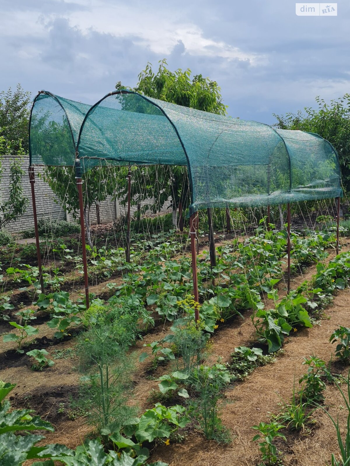 двоповерховий будинок з верандою, 181.6 кв. м, цегла. Продаж у Рогані фото 1