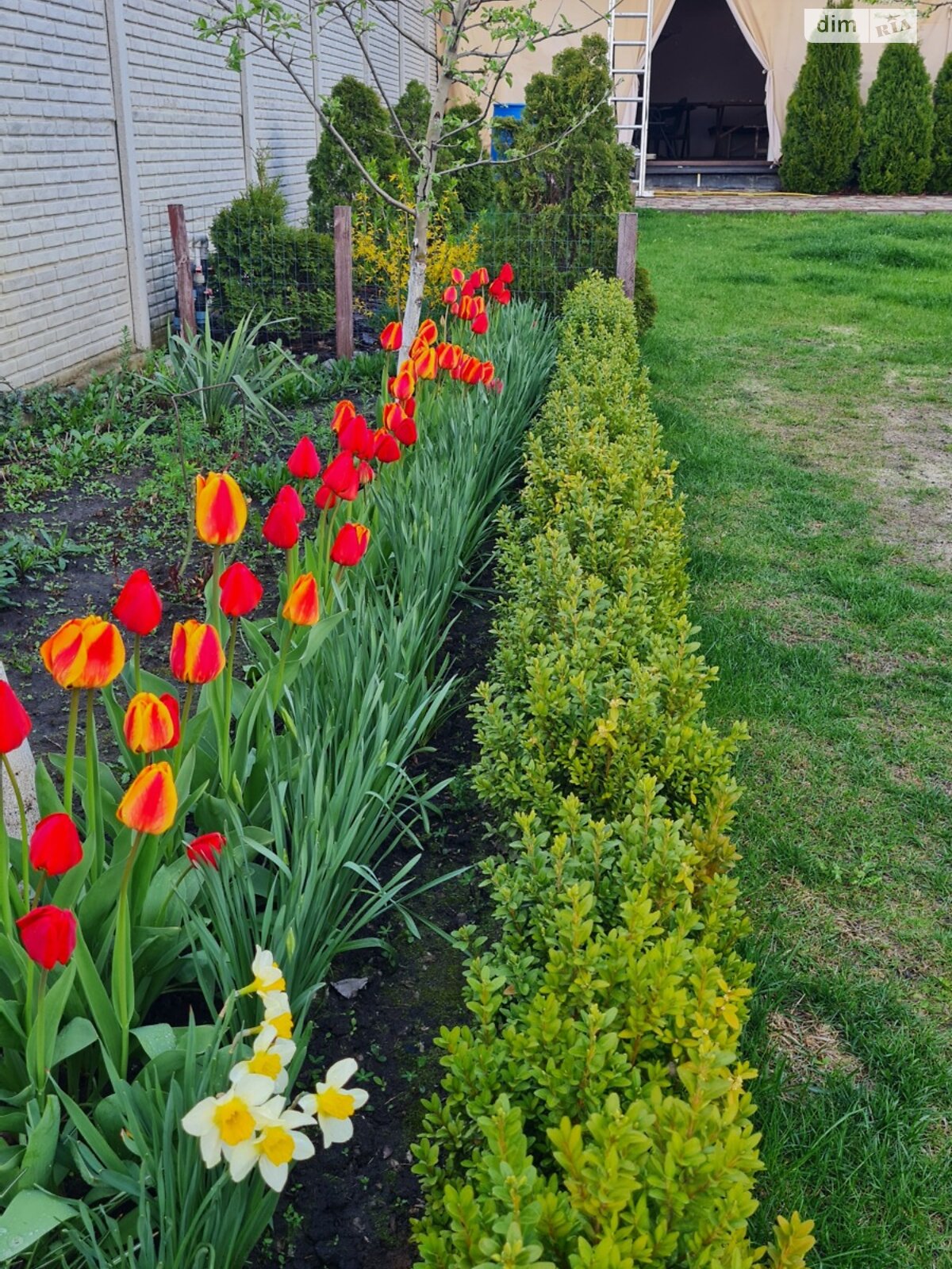 двоповерховий будинок з верандою, 181.6 кв. м, цегла. Продаж у Рогані фото 1