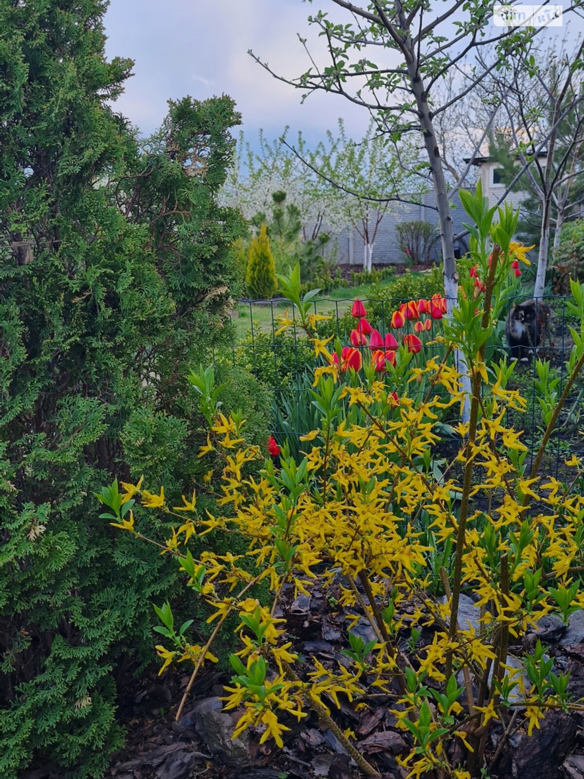 двоповерховий будинок з верандою, 181.6 кв. м, цегла. Продаж у Рогані фото 1