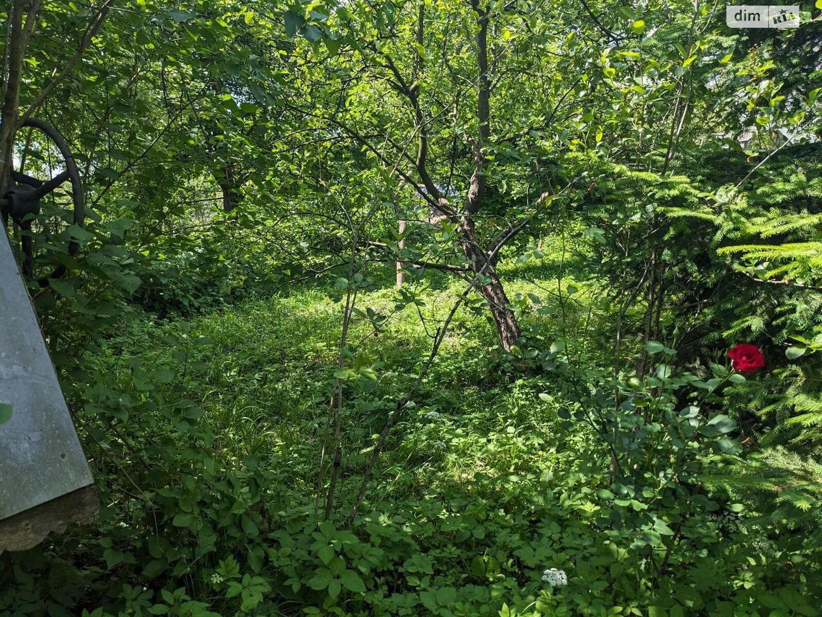 одноповерховий будинок, 83 кв. м, цегла. Продаж в Рогатині, район Рогатин фото 1 одноповерховий будинок, 83 кв. м, цегла. Продаж в Рогатині, район Рогатин фото 1