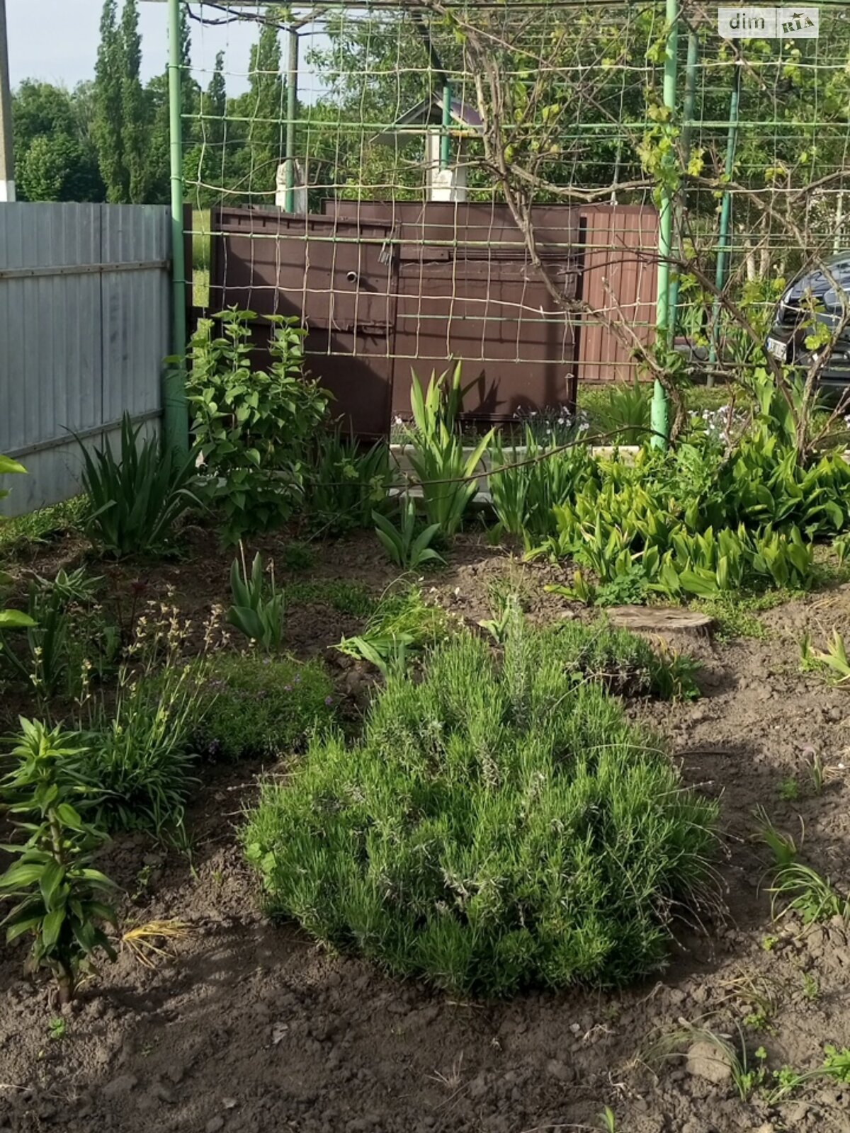 одноэтажный дом с мебелью, 52 кв. м, кирпич. Продажа в Рождественском район Дахновка фото 1 одноэтажный дом с мебелью, 52 кв. м, кирпич. Продажа в Рождественском район Дахновка фото 1