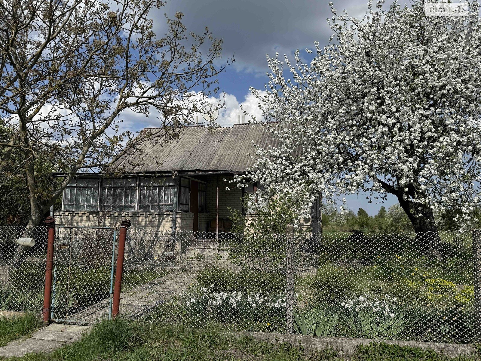 одноповерховий будинок, 58 кв. м, цегла. Продаж в Романові, район Романів фото 1 одноповерховий будинок, 58 кв. м, цегла. Продаж в Романові, район Романів фото 1