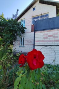 двоповерховий будинок з опаленням, 57.5 кв. м, цегла. Продаж у Романівці фото 2 двоповерховий будинок з опаленням, 57.5 кв. м, цегла. Продаж у Романівці фото 2