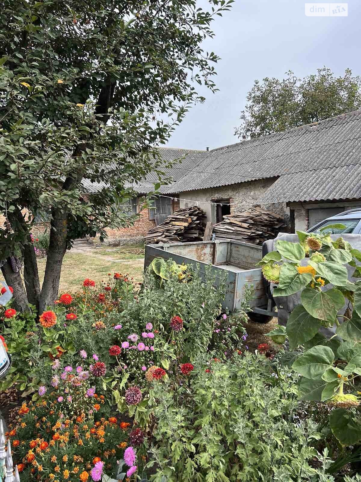 одноповерховий будинок з верандою, 62 кв. м, цегла. Продаж у Романове Село фото 1 одноповерховий будинок з верандою, 62 кв. м, цегла. Продаж у Романове Село фото 1