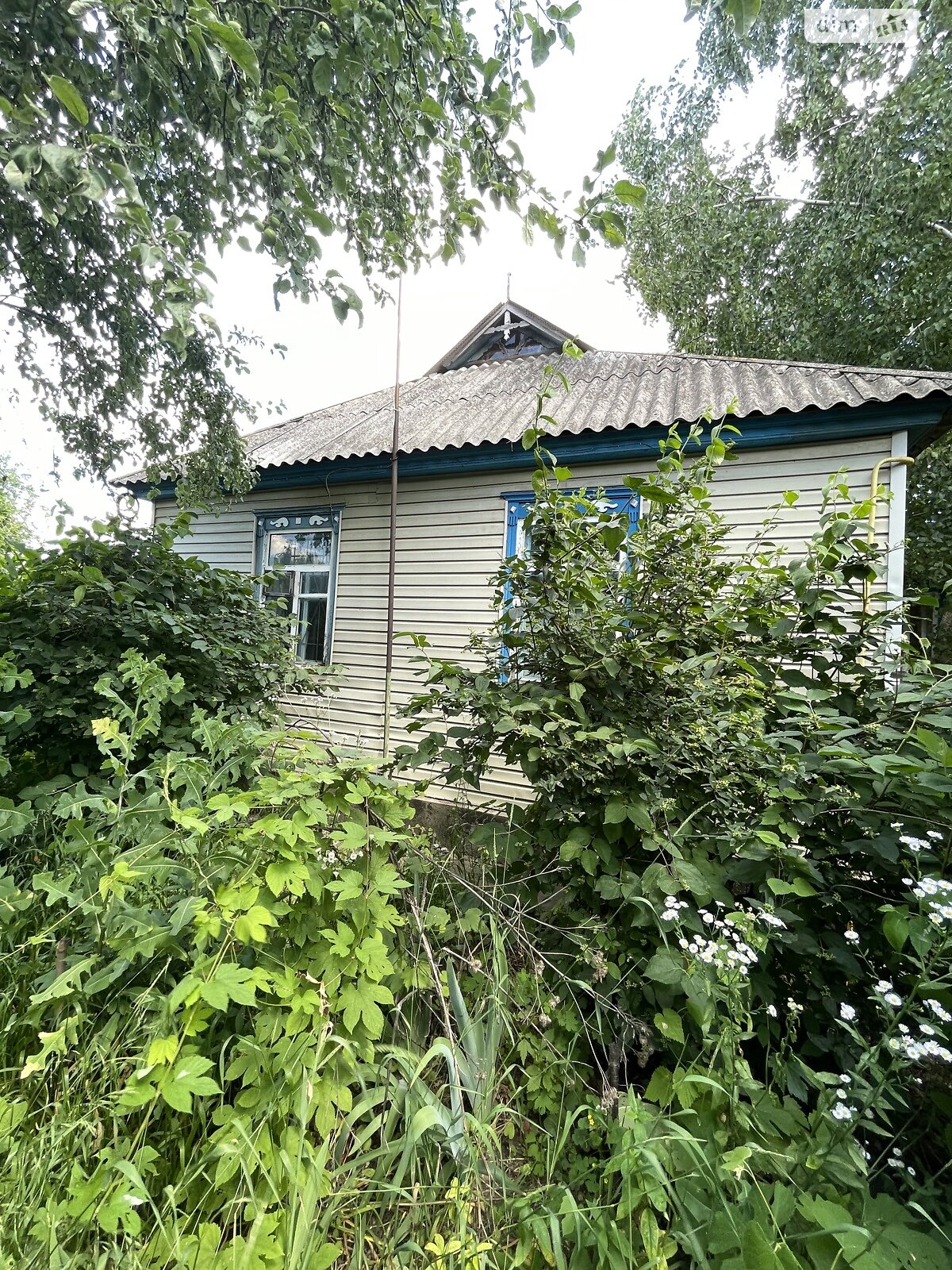 одноповерховий будинок з верандою, 67.1 кв. м, брус. Продаж у Ромашках фото 1