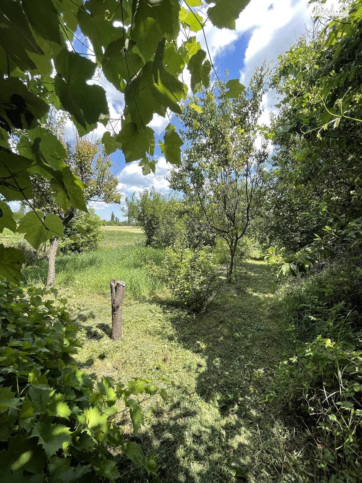 одноповерховий будинок з верандою, 67.1 кв. м, брус. Продаж у Ромашках фото 1