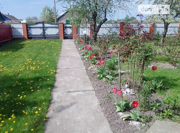 одноповерховий будинок з садом, 142.9 кв. м, цегла. Продаж в Хмельові (Сумська обл.) фото 1 одноповерховий будинок з садом, 142.9 кв. м, цегла. Продаж в Хмельові (Сумська обл.) фото 1