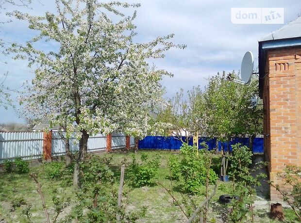 одноповерховий будинок з садом, 142.9 кв. м, цегла. Продаж в Хмельові (Сумська обл.) фото 1 одноповерховий будинок з садом, 142.9 кв. м, цегла. Продаж в Хмельові (Сумська обл.) фото 1