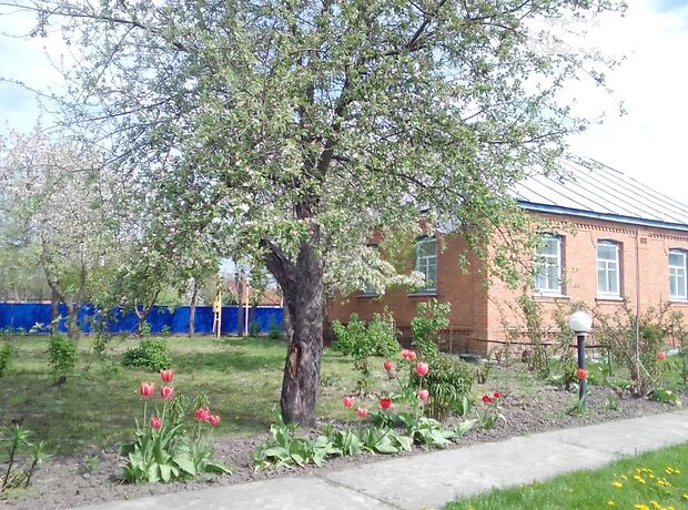 одноповерховий будинок з садом, 142.9 кв. м, цегла. Продаж в Хмельові (Сумська обл.) фото 1 одноповерховий будинок з садом, 142.9 кв. м, цегла. Продаж в Хмельові (Сумська обл.) фото 1