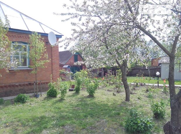 одноповерховий будинок з садом, 142.9 кв. м, цегла. Продаж в Хмельові (Сумська обл.) фото 1 одноповерховий будинок з садом, 142.9 кв. м, цегла. Продаж в Хмельові (Сумська обл.) фото 1