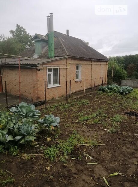 одноэтажный дом с садом, 70 кв. м, кирпич. Продажа в Ромнах район Ромны фото 1 одноэтажный дом с садом, 70 кв. м, кирпич. Продажа в Ромнах район Ромны фото 1