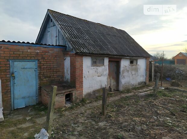 одноповерховий будинок з гаражем, 42 кв. м, цегла. Продаж в Ромнах, район Ромни фото 1 одноповерховий будинок з гаражем, 42 кв. м, цегла. Продаж в Ромнах, район Ромни фото 1