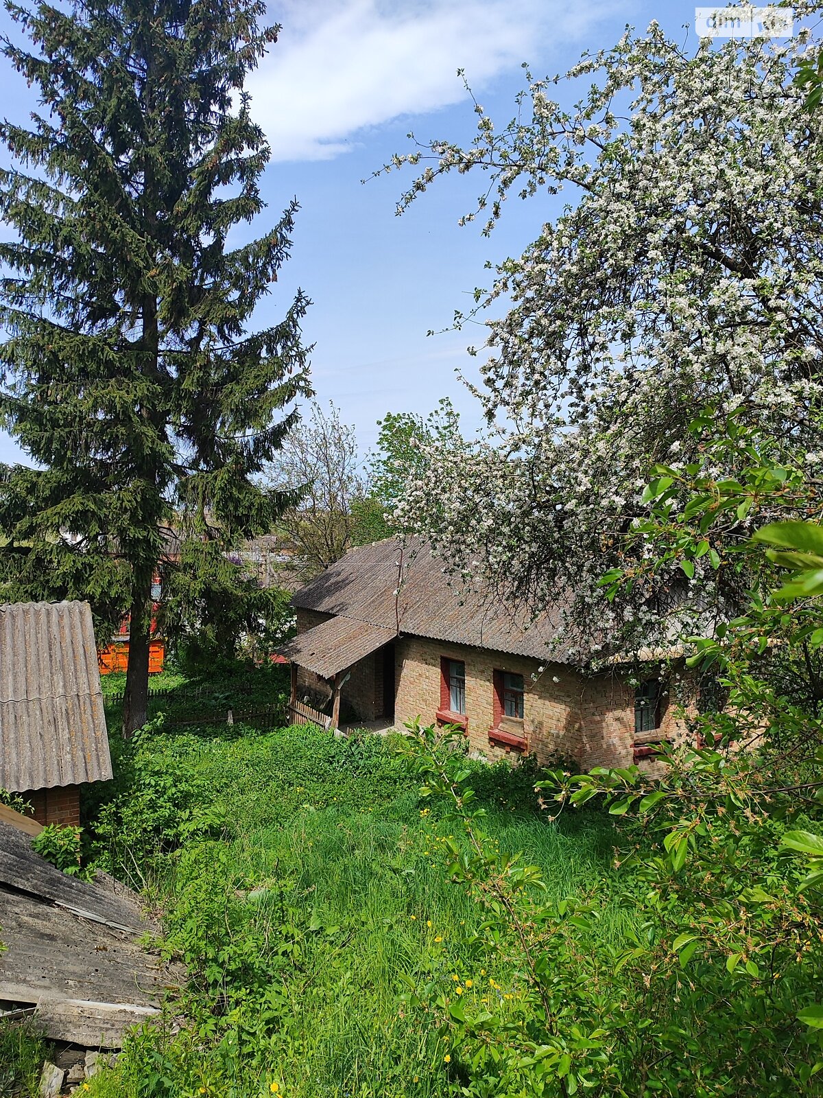 одноповерховий будинок, 46 кв. м, цегла. Продаж у Розсоші фото 1