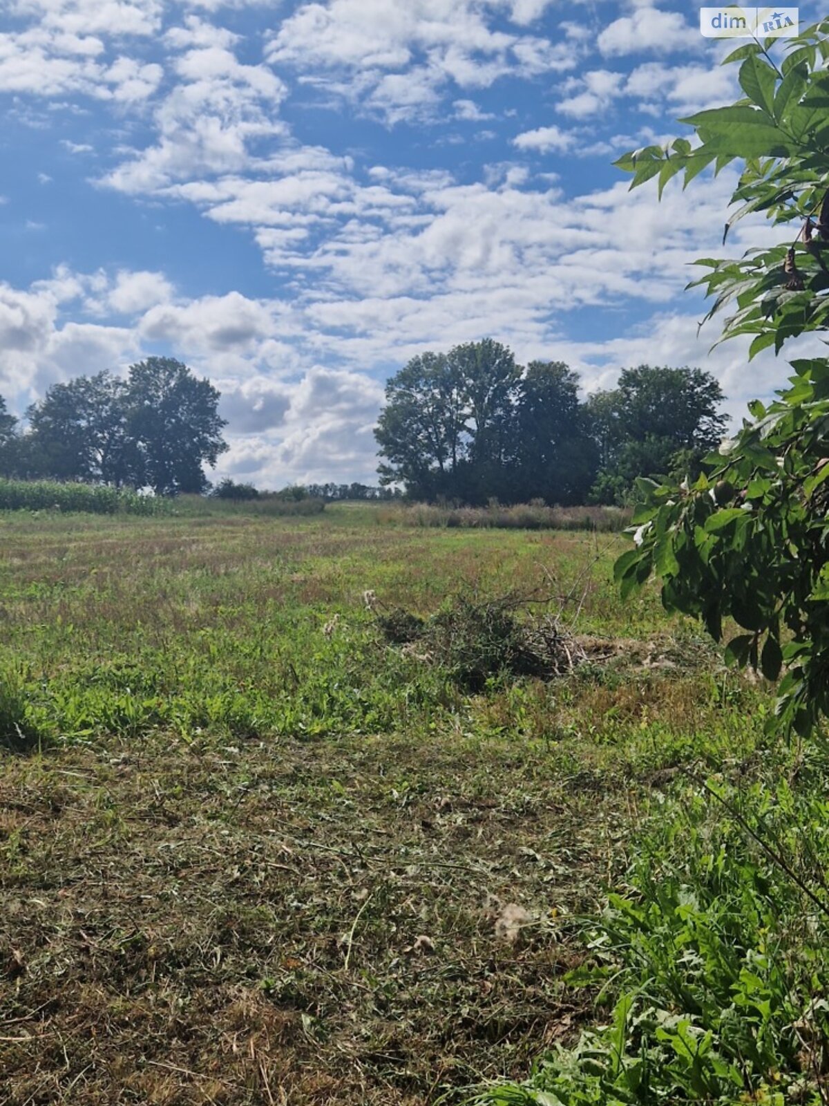 одноповерховий будинок з верандою, 69.9 кв. м, цегла. Продаж у Розсоші фото 1