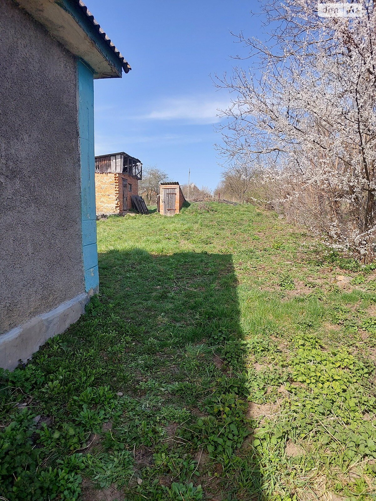 одноповерховий будинок, 50 кв. м, глинобитний. Продаж у Ровці фото 1 одноповерховий будинок, 50 кв. м, глинобитний. Продаж у Ровці фото 1