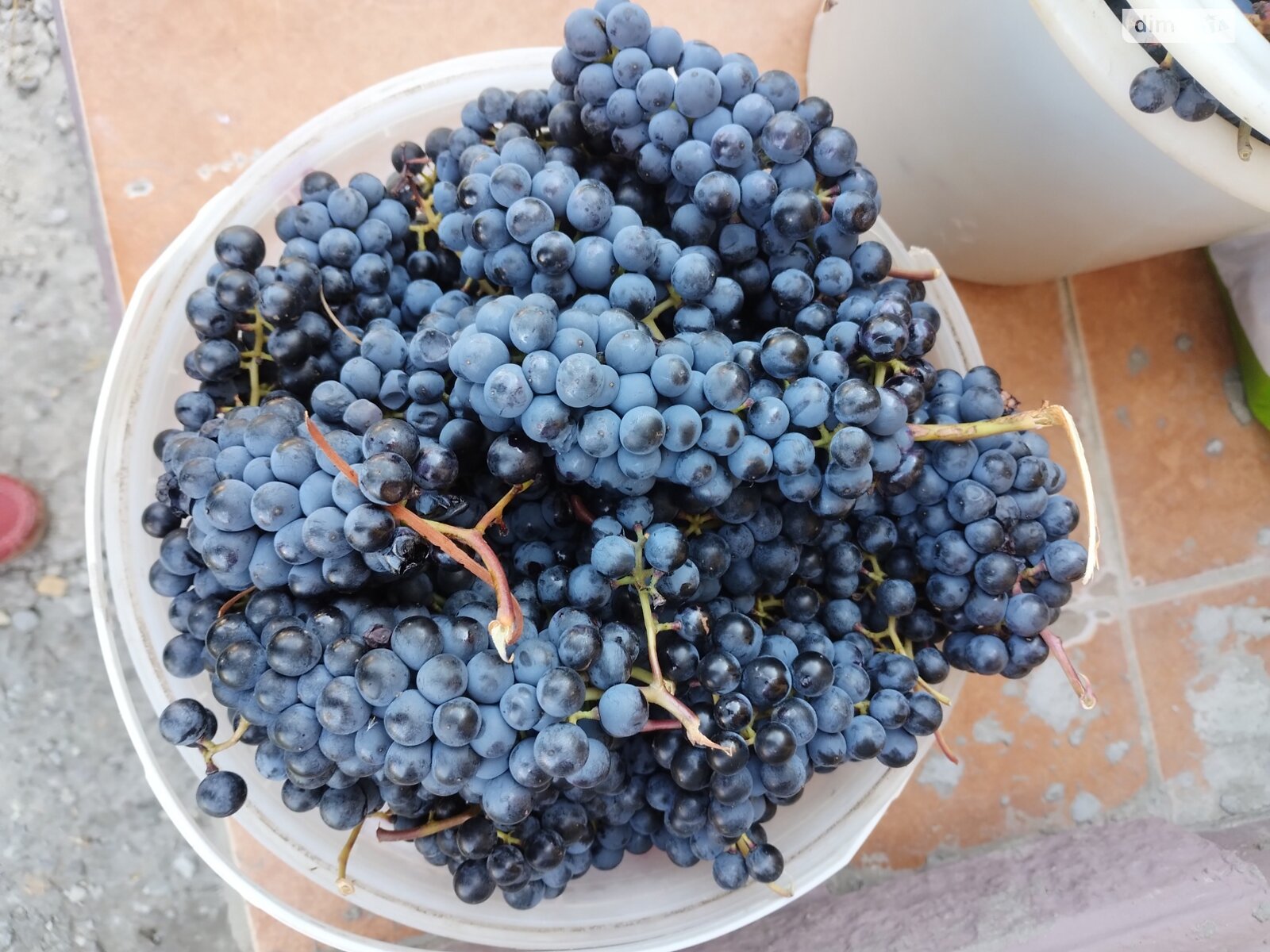 двухэтажный дом, 119 кв. м, керамзитобетон. Продажа в Ровжах фото 1