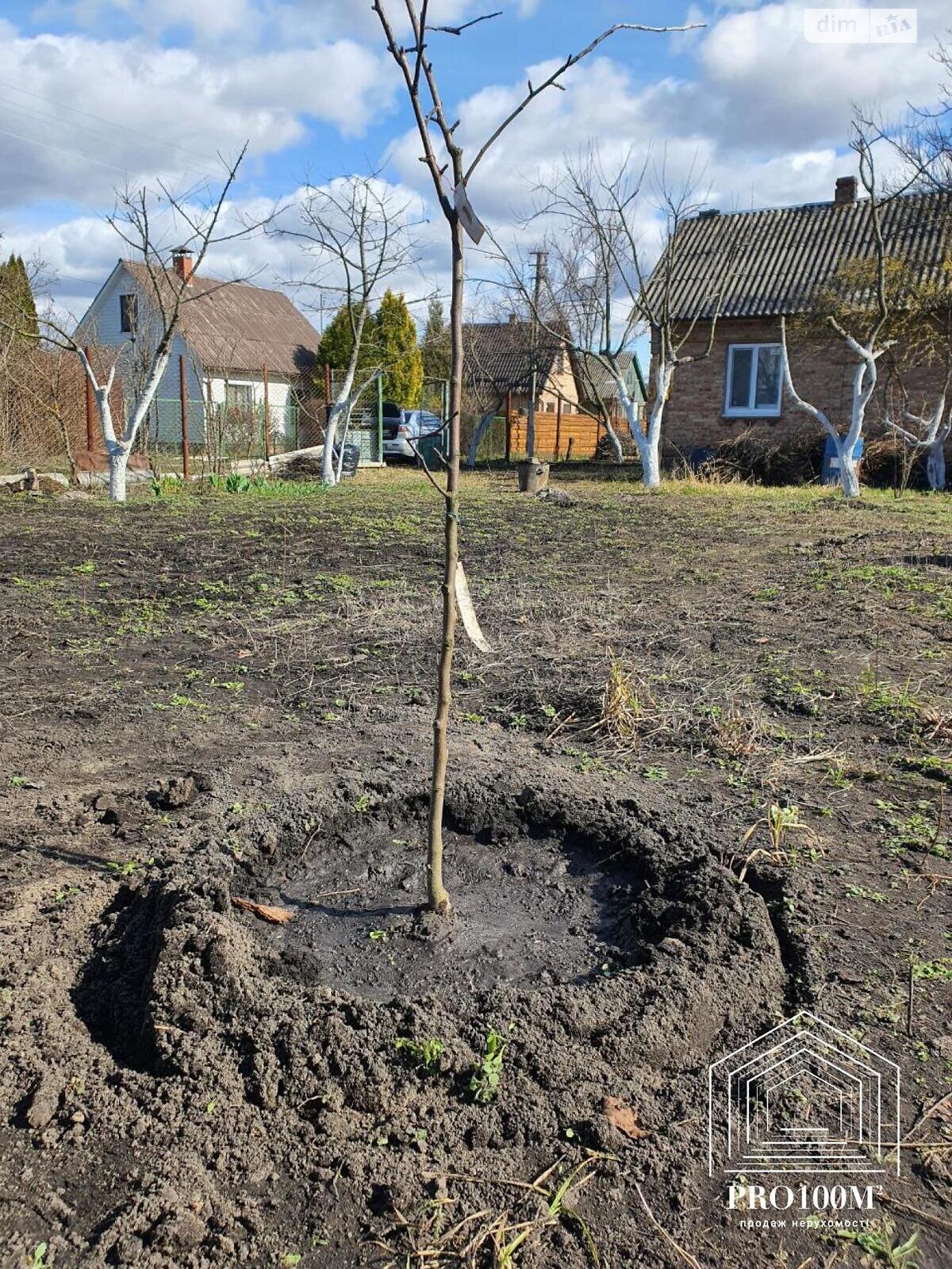 одноповерховий будинок, 29.1 кв. м, цегла. Продаж у Ровжах фото 1