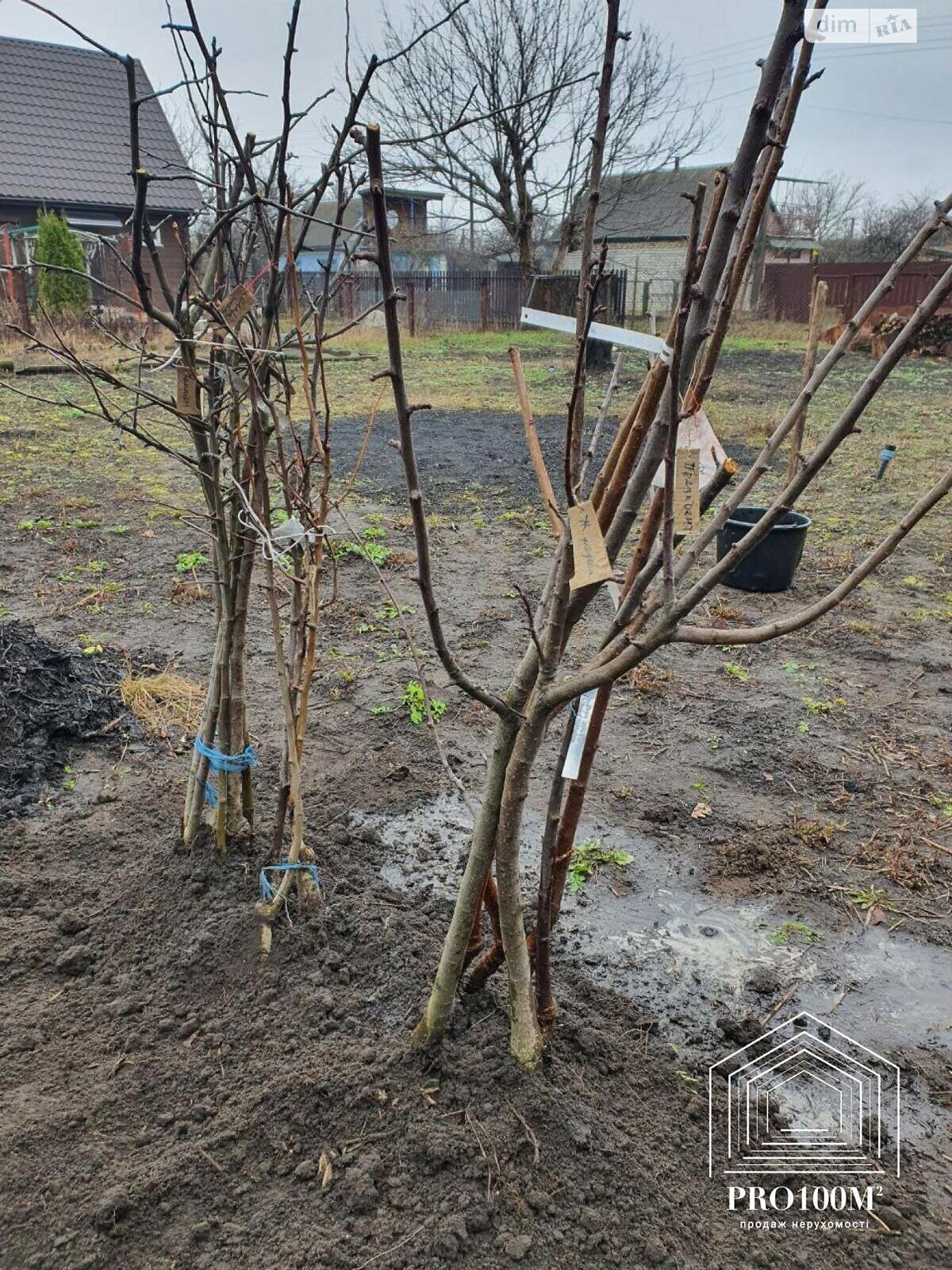 одноповерховий будинок, 29.1 кв. м, цегла. Продаж у Ровжах фото 1