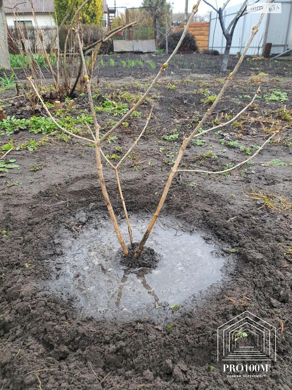 одноповерховий будинок, 29.1 кв. м, цегла. Продаж у Ровжах фото 1