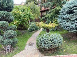 двоповерховий будинок, 285 кв. м, цегла. Продаж в Рівному, район Центр фото 2