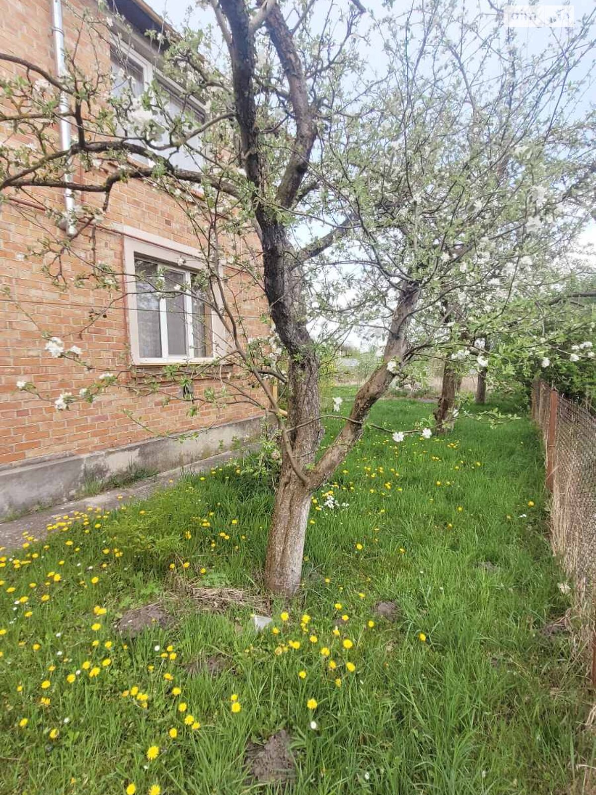 двоповерховий будинок з гаражем, 70 кв. м, цегла. Продаж у Рівному фото 1 двоповерховий будинок з гаражем, 70 кв. м, цегла. Продаж у Рівному фото 1
