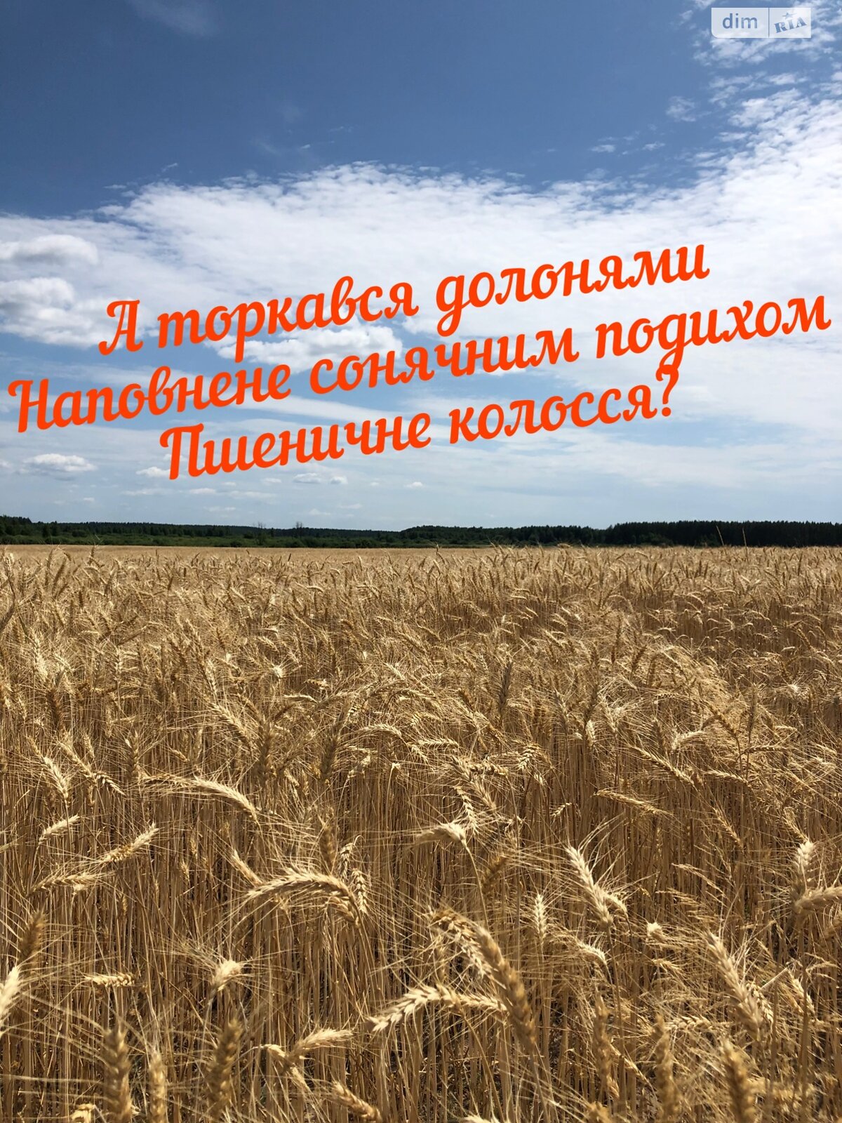 двоповерховий будинок, 150 кв. м, піноблок. Продаж у Ровах фото 1 двоповерховий будинок, 150 кв. м, піноблок. Продаж у Ровах фото 1