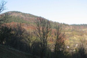 одноповерховий будинок, 60 кв. м, цегла. Продаж в Розтоках фото 2