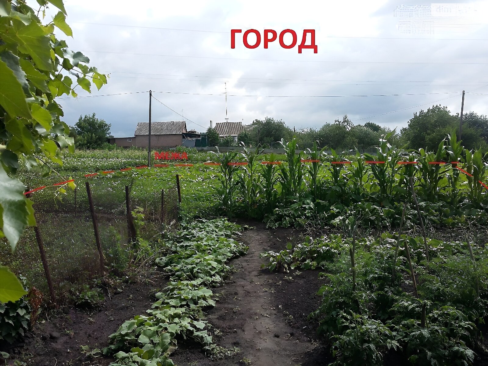 одноэтажный дом, 48 кв. м, кирпич. Продажа в Руде фото 1 одноэтажный дом, 48 кв. м, кирпич. Продажа в Руде фото 1