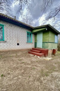 одноповерховий будинок бесідка, 53 кв. м, дерево та цегла. Продаж у Рудці фото 2