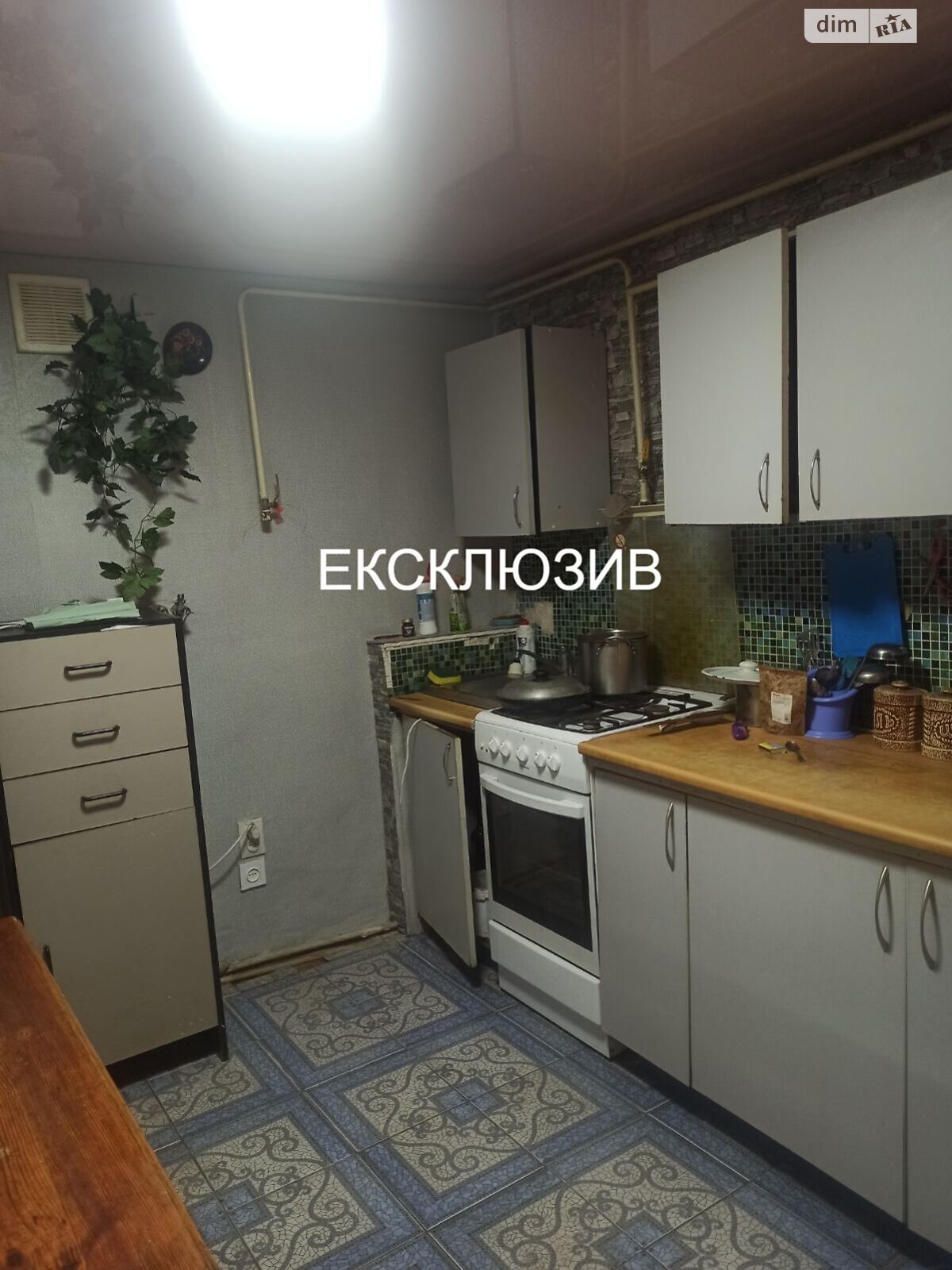 одноповерховий будинок з ремонтом, 52.4 кв. м, цегла. Продаж у Рудці фото 1 одноповерховий будинок з ремонтом, 52.4 кв. м, цегла. Продаж у Рудці фото 1