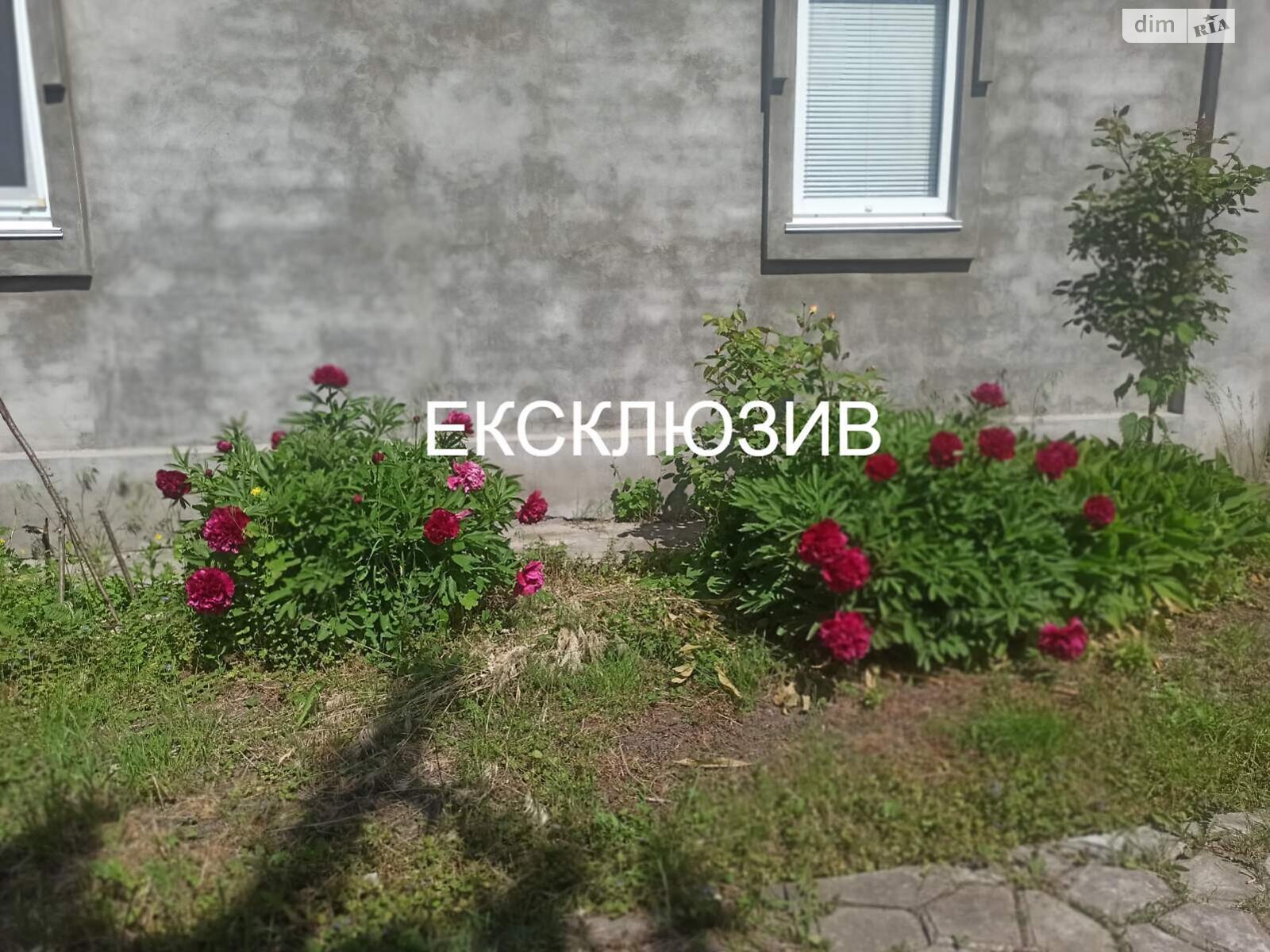 одноповерховий будинок з ремонтом, 52.4 кв. м, цегла. Продаж у Рудці фото 1 одноповерховий будинок з ремонтом, 52.4 кв. м, цегла. Продаж у Рудці фото 1