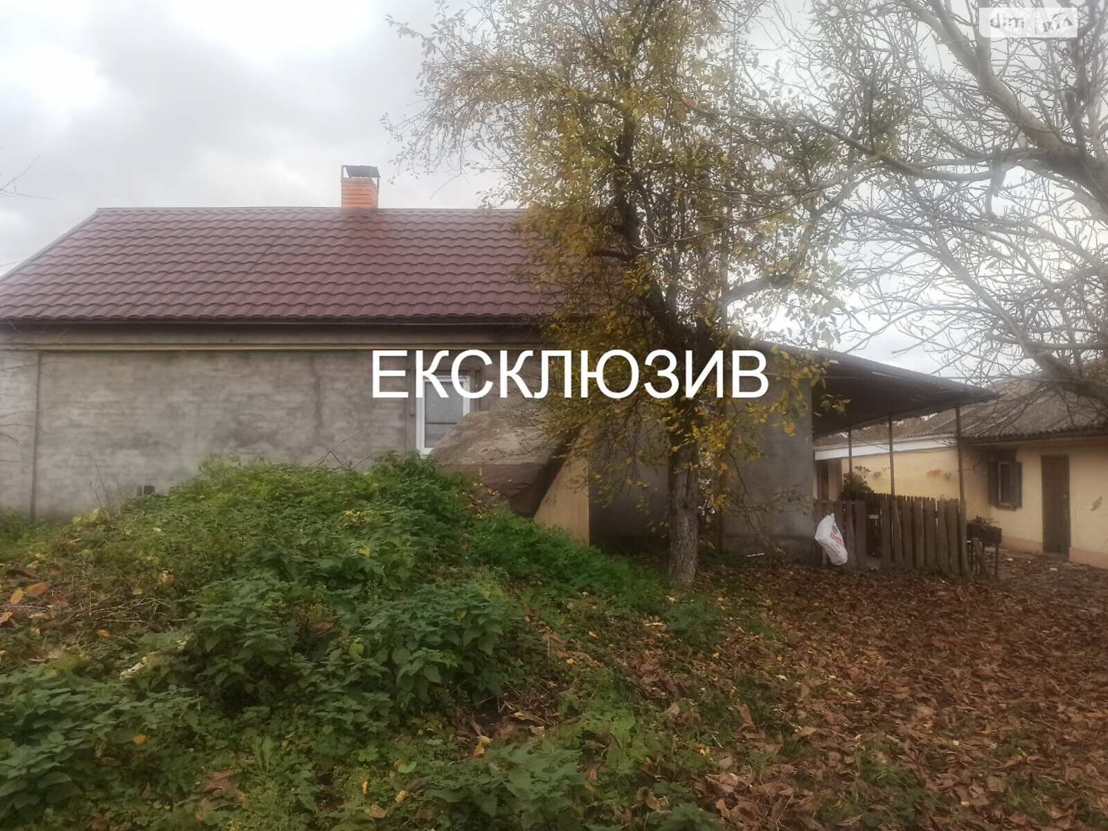 одноповерховий будинок з ремонтом, 52.4 кв. м, цегла. Продаж у Рудці фото 1 одноповерховий будинок з ремонтом, 52.4 кв. м, цегла. Продаж у Рудці фото 1
