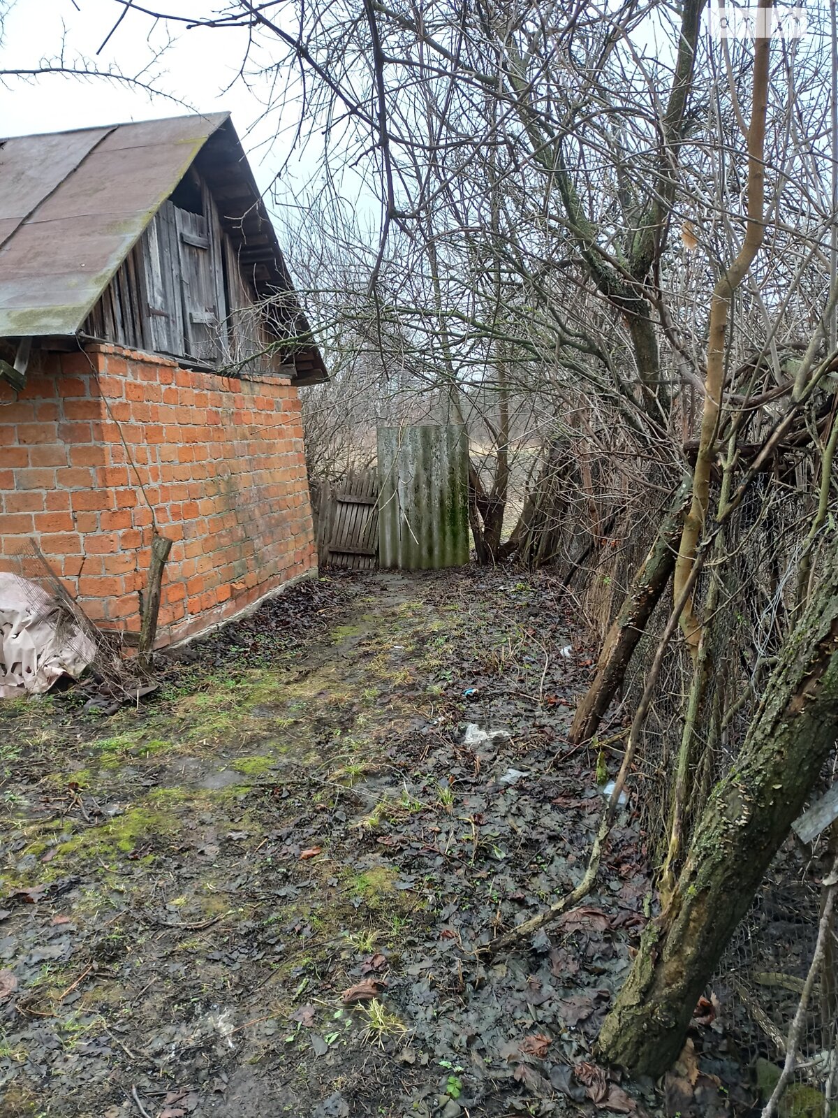 одноповерховий будинок з верандою, 66.8 кв. м, цегла. Продаж у Рудьківці фото 1 одноповерховий будинок з верандою, 66.8 кв. м, цегла. Продаж у Рудьківці фото 1