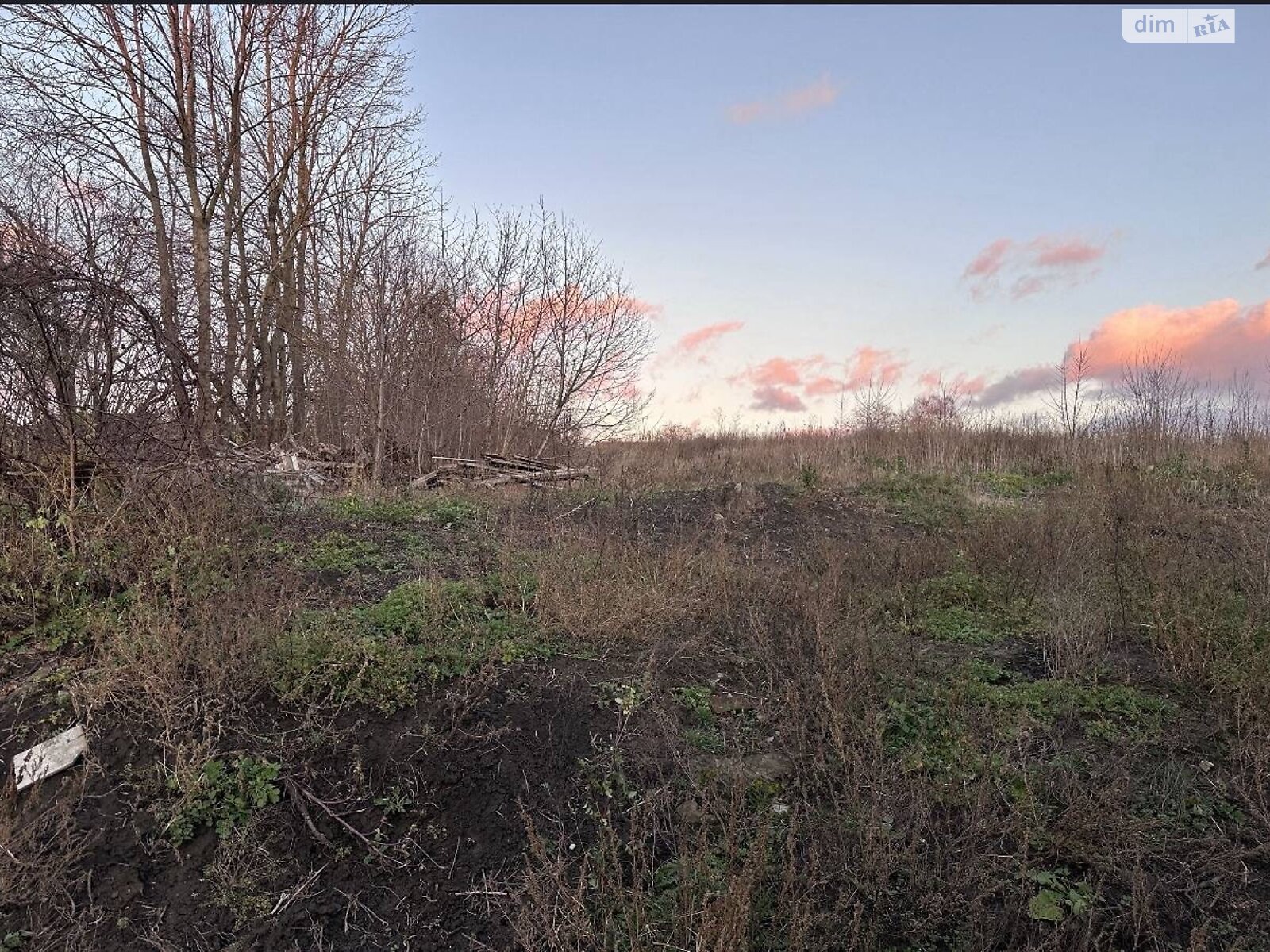 двоповерховий будинок, 100 кв. м, цегла. Продаж у Ружичанці фото 1