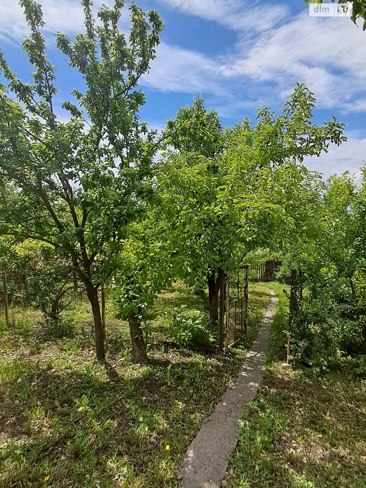 одноповерховий будинок, 90 кв. м, цегла. Продаж у Ружичанці фото 1 одноповерховий будинок, 90 кв. м, цегла. Продаж у Ружичанці фото 1