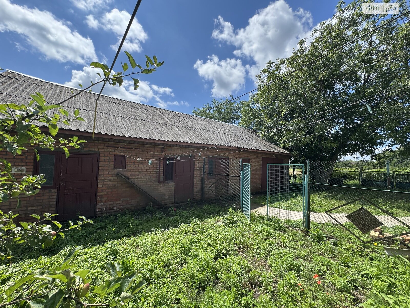 одноповерховий будинок з опаленням, 106.5 кв. м, цегла. Продаж у Ружичанці фото 1 одноповерховий будинок з опаленням, 106.5 кв. м, цегла. Продаж у Ружичанці фото 1