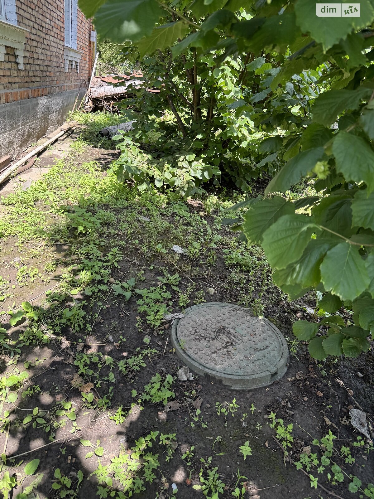 одноповерховий будинок з опаленням, 106.5 кв. м, цегла. Продаж у Ружичанці фото 1 одноповерховий будинок з опаленням, 106.5 кв. м, цегла. Продаж у Ружичанці фото 1
