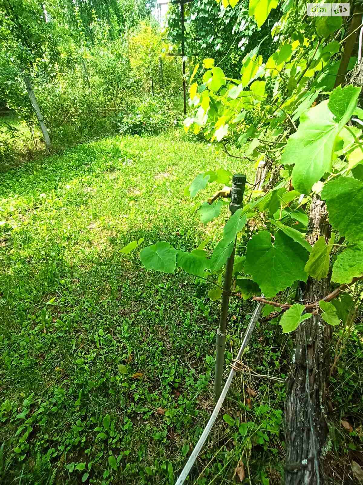 двоповерховий будинок з гаражем, 45 кв. м, цегла. Продаж у Ружичанці фото 1 двоповерховий будинок з гаражем, 45 кв. м, цегла. Продаж у Ружичанці фото 1