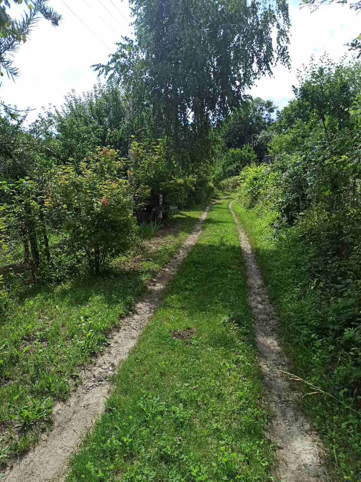 двоповерховий будинок з гаражем, 45 кв. м, цегла. Продаж у Ружичанці фото 1 двоповерховий будинок з гаражем, 45 кв. м, цегла. Продаж у Ружичанці фото 1