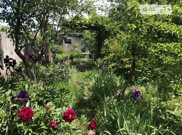 двоповерховий будинок з гаражем, 79 кв. м, цегла. Продаж у Ружичанці фото 1 двоповерховий будинок з гаражем, 79 кв. м, цегла. Продаж у Ружичанці фото 1