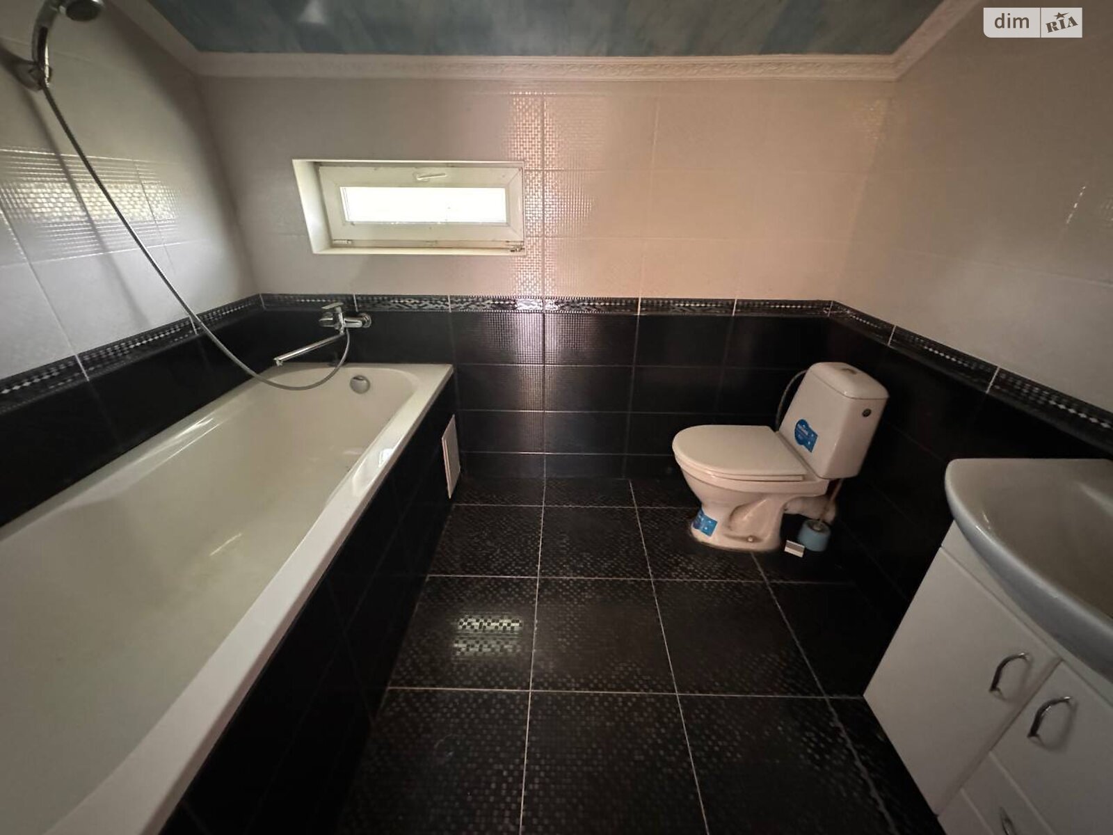 двоповерховий будинок з ремонтом, 251 кв. м, цегла. Продаж у Ружичанці фото 1 двоповерховий будинок з ремонтом, 251 кв. м, цегла. Продаж у Ружичанці фото 1