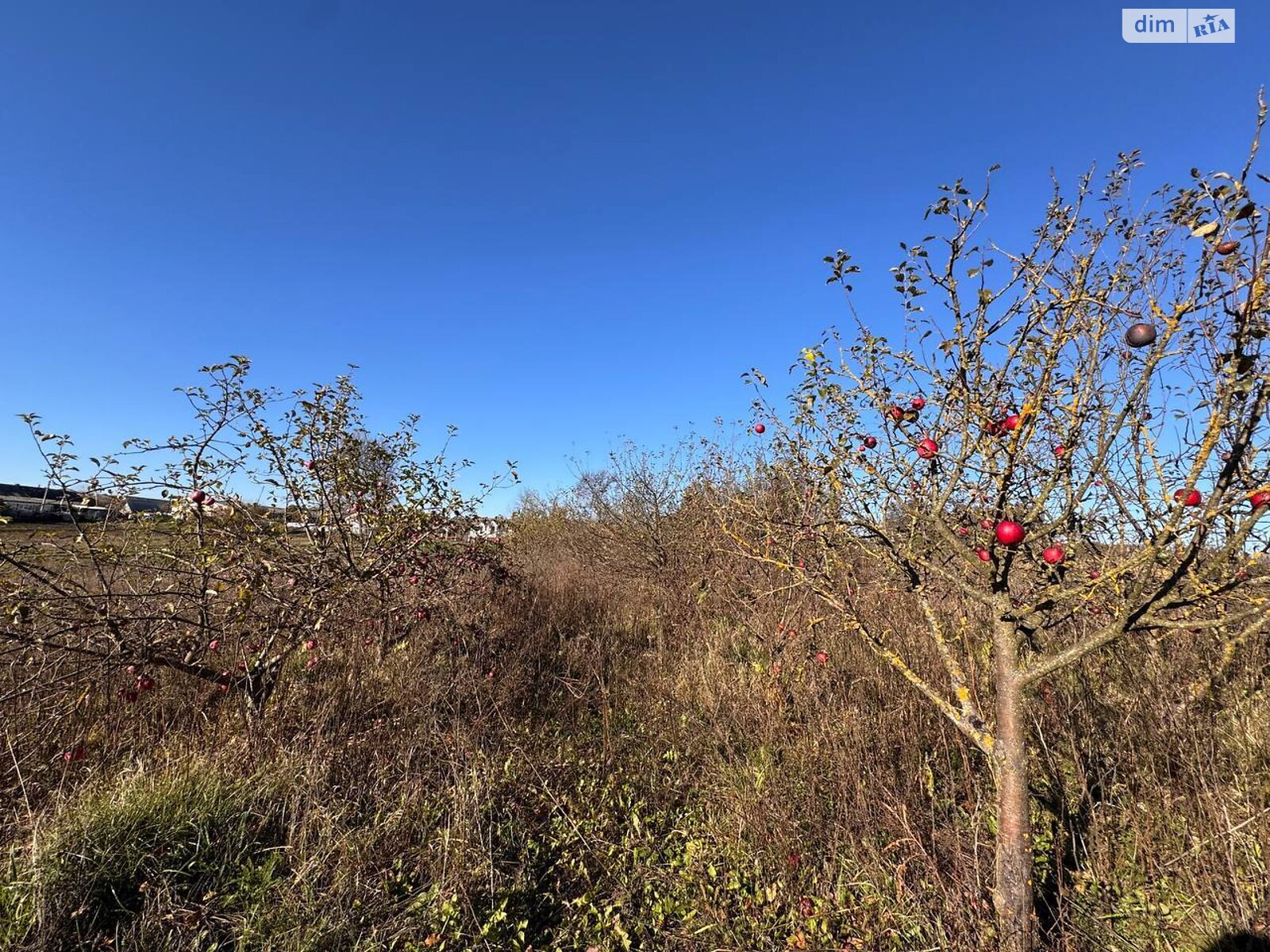 двоповерховий будинок з ремонтом, 251 кв. м, цегла. Продаж у Ружичанці фото 1 двоповерховий будинок з ремонтом, 251 кв. м, цегла. Продаж у Ружичанці фото 1