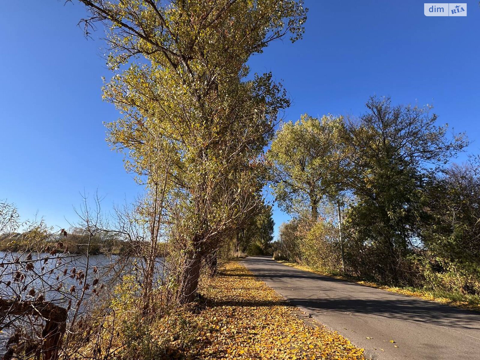 двоповерховий будинок з опаленням, 251 кв. м, термоблок. Продаж у Ружичанці фото 1