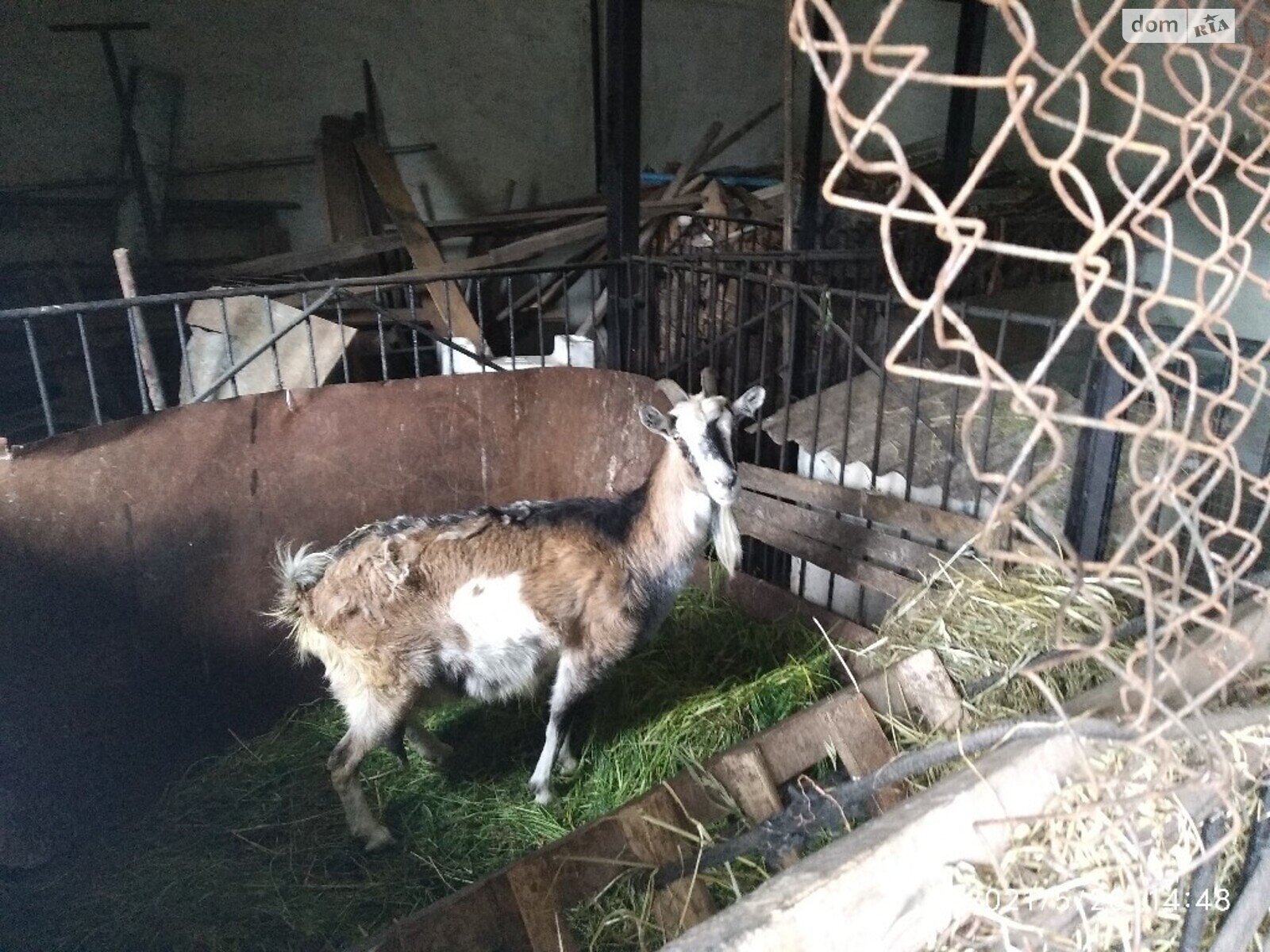 одноэтажный дом с верандой, 89.6 кв. м, кирпич. Продажа в Ружине район Ружин фото 1