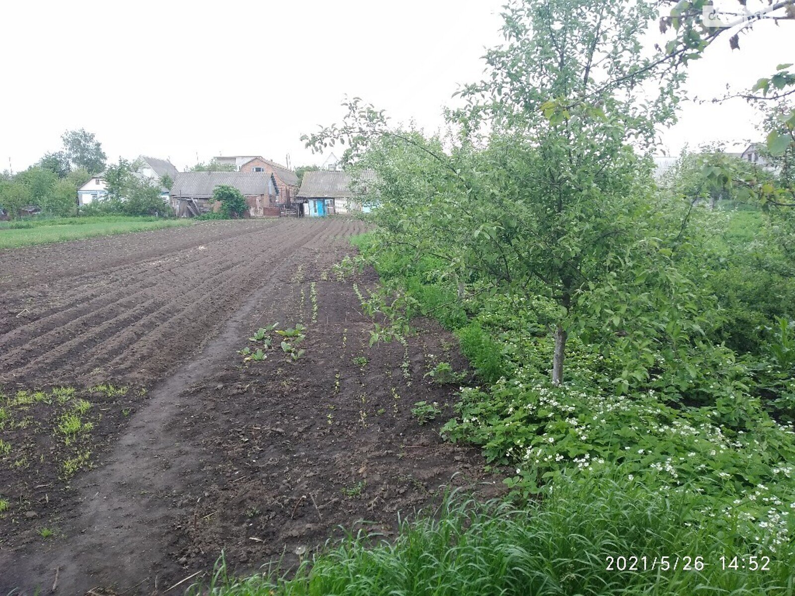 одноэтажный дом с верандой, 89.6 кв. м, кирпич. Продажа в Ружине район Ружин фото 1