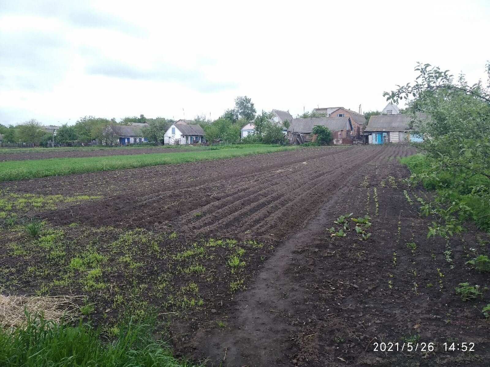 одноэтажный дом с верандой, 89.6 кв. м, кирпич. Продажа в Ружине район Ружин фото 1