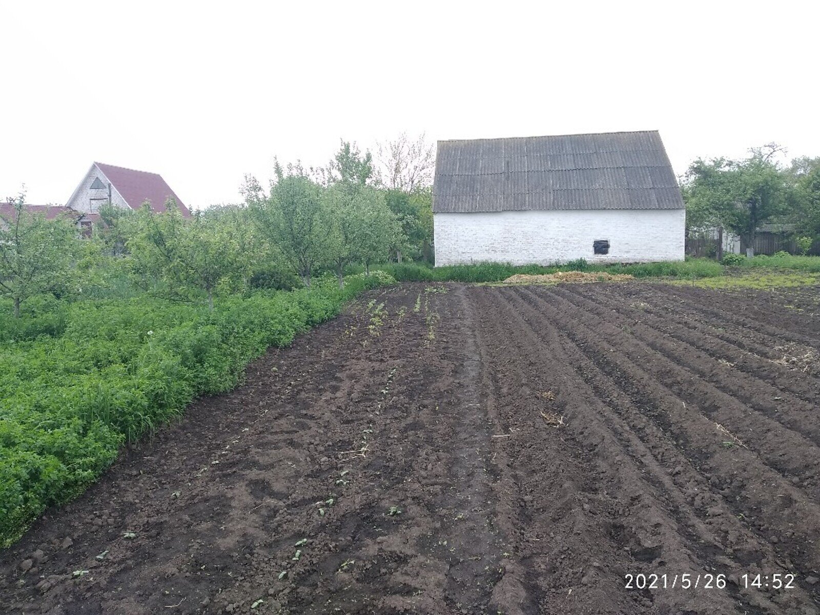 одноповерховий будинок веранда, 89.6 кв. м, цегла. Продаж в Ружині, район Ружин фото 1