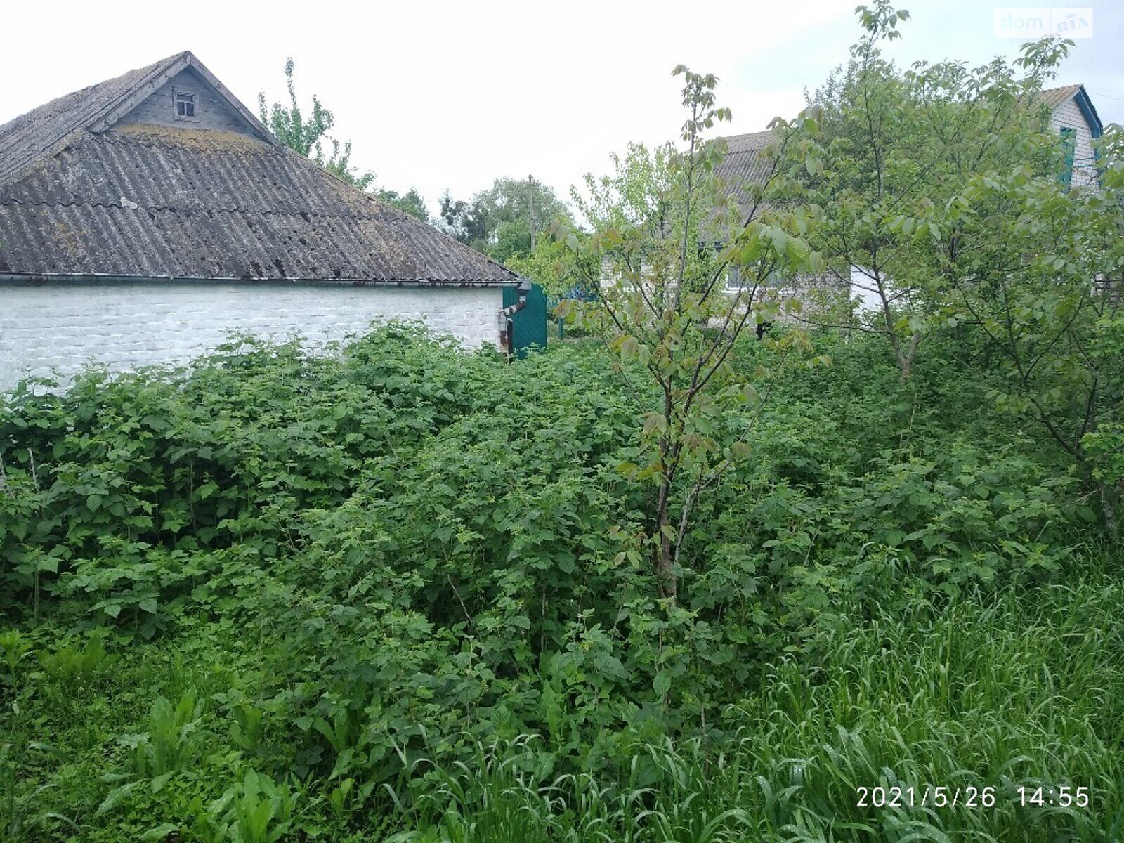 одноэтажный дом с верандой, 89.6 кв. м, кирпич. Продажа в Ружине район Ружин фото 1